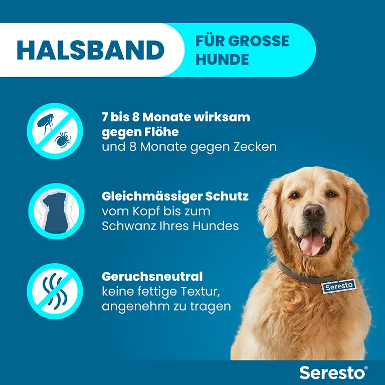 shopapotheke Seresto® Halsband für große Hunde ab 8 kg Kostenloser Versand international