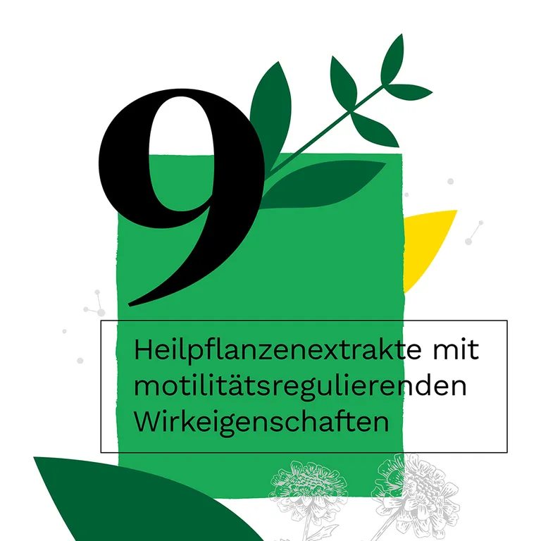 shopapotheke Iberogast® Classic Schnelle Linderung bei akuten Magen-Darm-Beschwerden Im Verkauf