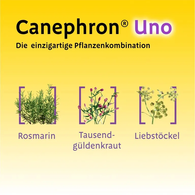 shopapotheke Canephron® Uno bei akuter Blasenentzündung Black Friday Preise