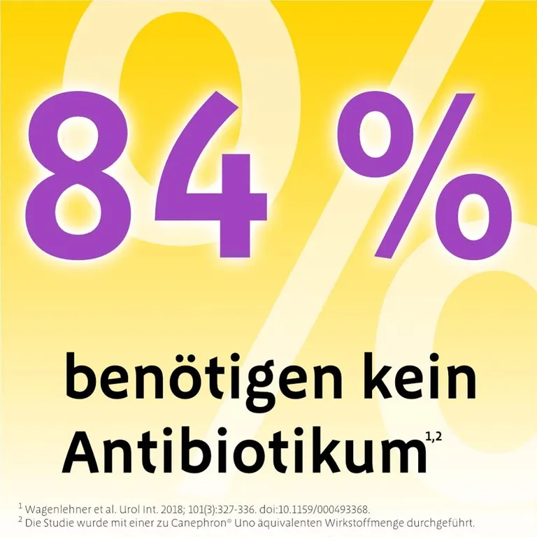 shopapotheke Canephron® Uno bei akuter Blasenentzündung Black Friday Preise