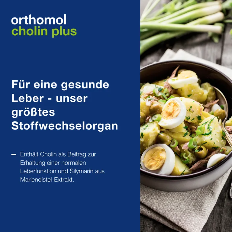shopapotheke Orthomol Cholin Plus - zur Erhaltung einer normalen Leberfunktion - mit Silymarin aus Mariendistel-Extrakt Neuheiten