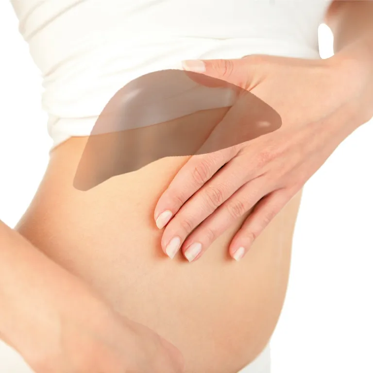 shopapotheke Hepar Hevert Lebertabletten Begrenzte Freigabe