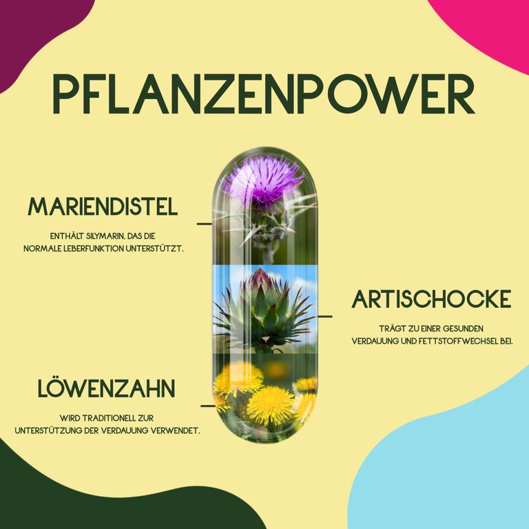 shopapotheke WURZELLIEBE Mariendistel Komplex mit Artischockenextrakt & Löwenzahn mit 80% Silymarin - 120 Kapseln Letzte 2 Tage