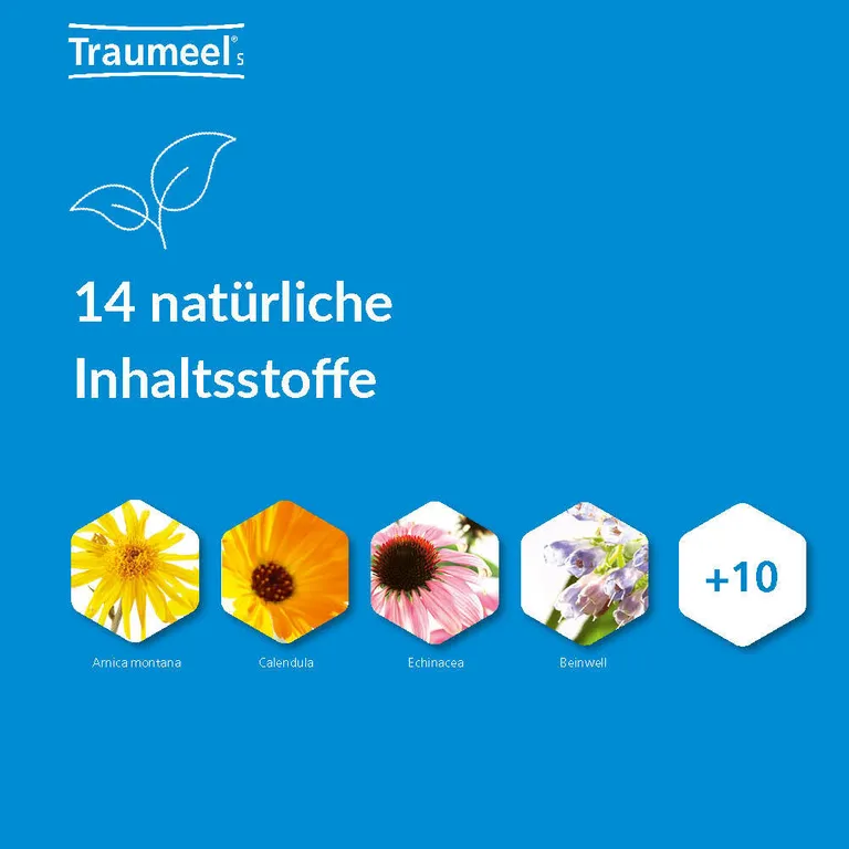 shopapotheke Traumeel® S Online