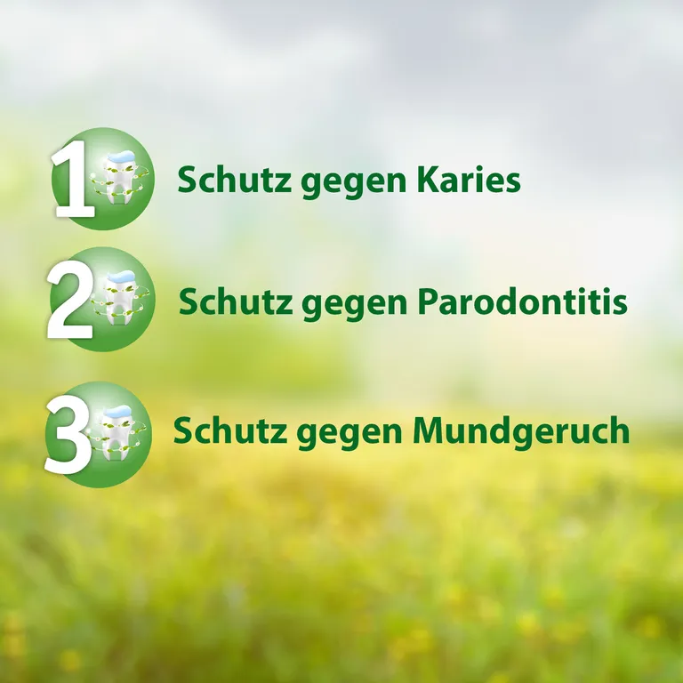 shopapotheke Salviagalen Madaus - Medizinische Zahnpasta ohne Fluorid Online Outlet