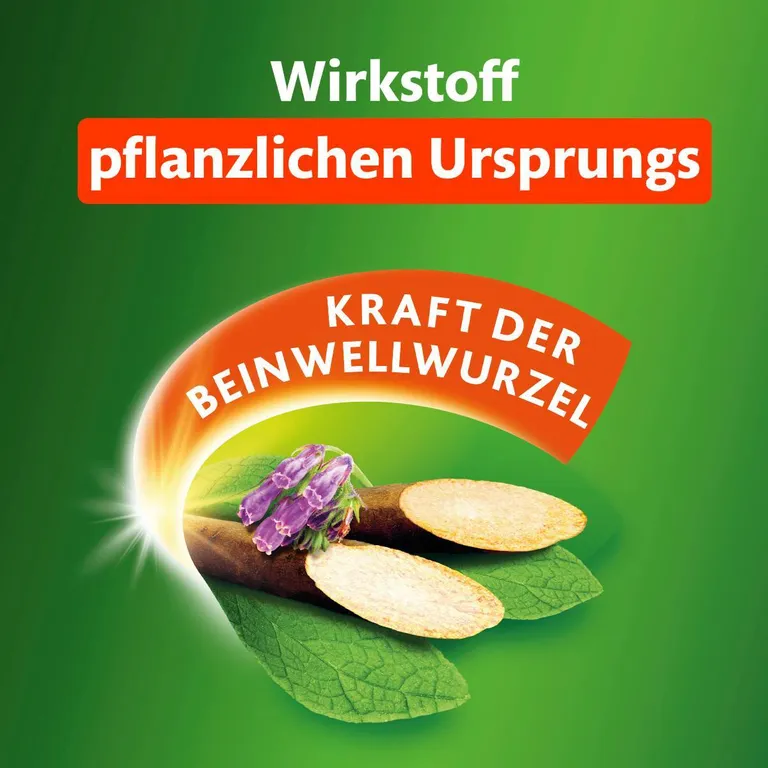 shopapotheke Kytta® Schmerzsalbe gegen Muskel- Kniegelenk- und Rückenschmerzen Günstiger Verkauf