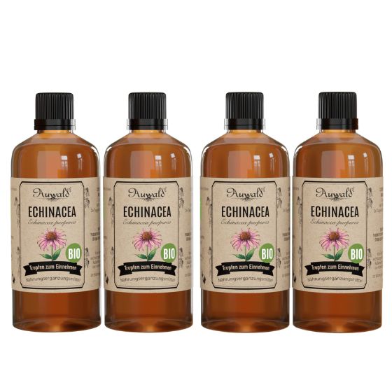 shopapotheke Auwald - Echinacea Tinktur (Extrakt Tropfen Auszug)