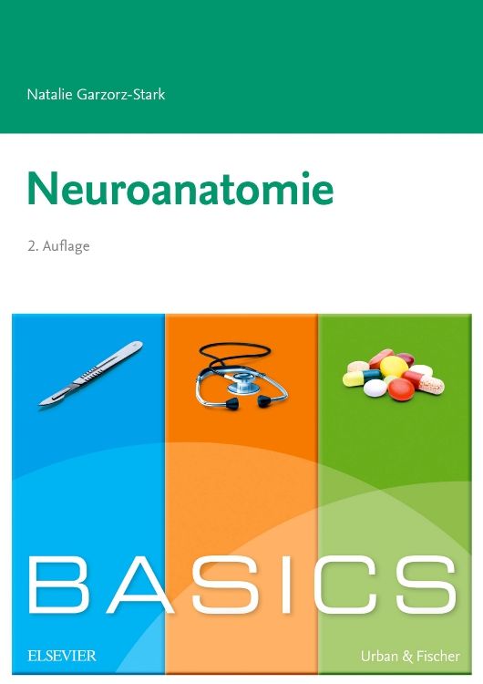 shopapotheke Basics Neuroanatomie Bis zu 50% Rabatt