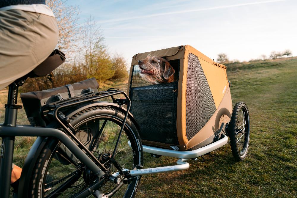 babymarkt Hundefahrradanhänger Dog Tammo Moss green Outlet