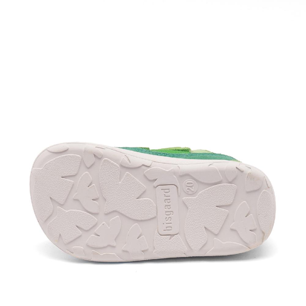babymarkt Lauflernschuh barefoot elroy forest green 2025