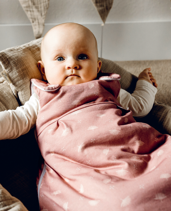 babymarkt Baby-Mäxchen Außensack Pretty Rabatte dieses Monats