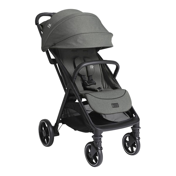 babywalz Joie - signatureBuggy Parcel LX evergreen Im Verkauf