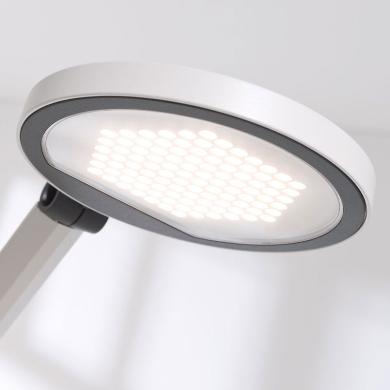 babyonlineshop Paidi Schreibtischleuchte Para.Mi LED-Leuchte mit stufenloser Dimmfunktion Großer Ausverkauf